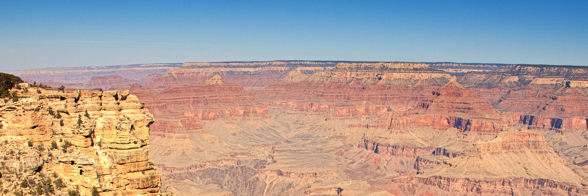 IMG_5342-20140226_crop_resized IMG_5342-20140226_crop_resized