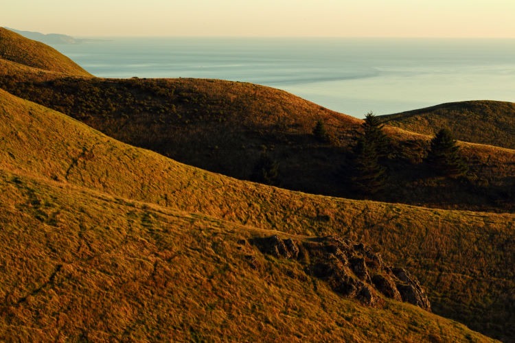 Landscape photograph of the grassy knolls above Stinson Beach of Marin County