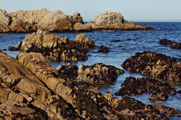 Seascape photograph of the rocky shoreline at Pacific Grove